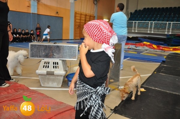 rawda dafe2a takhrej 707 (56).JPG